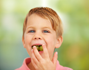 Image showing Boy, child or portrait grapes in mouth for health nutrition snack, lunch dessert or vitality development. Male, kid or fruit face for happy eating outdoor summer food, nature picnic or fibre minerals