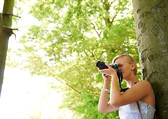 Image showing Photographer, shooting and woman in nature with trees, plants and travel in environment. Forest, park and freelancer filming outdoor ecology on summer holiday, trip or tourist with technology