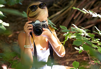 Image showing Shooting, photographer and travel with woman in forest for trees, environment and relax. Park, camera lens and photography with face of female person in woods for nature, tourism and summer