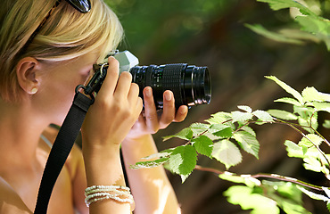 Image showing Shooting, photographer and nature with woman in forest for trees, environment and relax. Discover, camera lens and photography with face of female person in woods for travel, tourism and summer