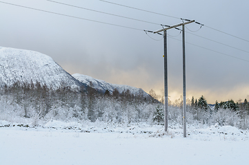 Image showing Power poles in a snowy field