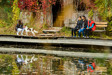 Image showing A young beautiful girl strokes a dog by the lake in an autumn park, a girl and two teenage girls are sitting next to her on a bench.