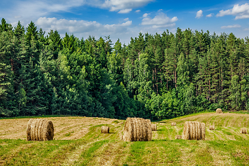 Image showing Summer Landscape with Hay Bales on Field