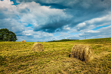 Image showing Summer Landscape with Hay Bales on Field