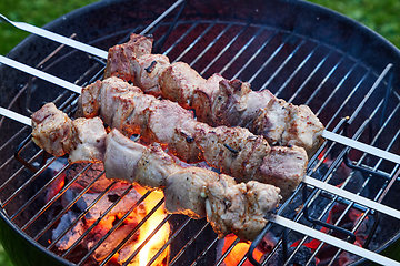 Image showing grilled marinated pork meat skewers