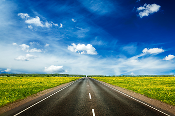 Image showing Road in blooming spring meadow