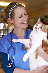 Image showing Veterinary, woman and holding cat with smile for healthcare, consultation or health examination at clinic or hospital. Medical, animal or doctor with happiness for wellness, checkup or vaccine at vet