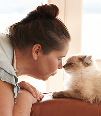 Image showing Woman, kiss and love cat in home, living room or apartment with happiness and healthy animal. Pet, care and person together with kitten on sofa in house for friendship, companion and bonding time
