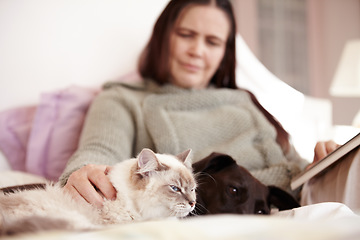 Image showing Cat, dog and woman relax in bed together with love, care and happiness in home. Pet, animals and person stroke the fur of a kitten and reading a book in bedroom of house with comfort and support