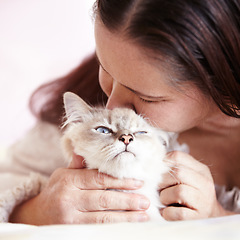 Image showing Woman, kiss and love cat in portrait with pet, care and support in home with healthy animal. Persian, kitten and person bonding with rescue or foster kitty on bed or couch in house with affection