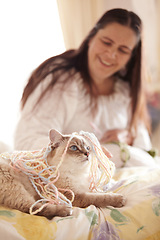 Image showing Cat, playing and woman with wool in home for knitting, activity or fun game for pet. Happy, person and kitten with yarn, string and funny toy in living room with owner laughing and smiling at kitty