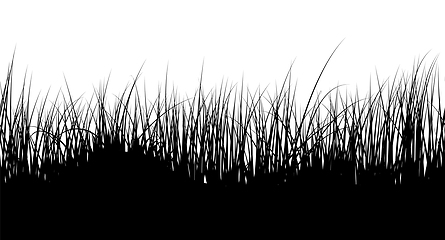 Image showing Seamless Meadow Grass