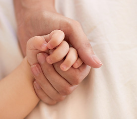 Image showing Parent, baby and holding hand for comfort on bed for love, trust or support in bond. Person, infant and caring with touch for child development, growth or health in wellness for quality time together