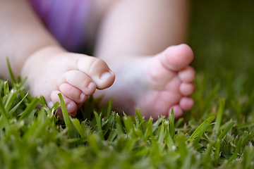 Image showing Feet, closeup and baby outdoor on grass, lawn and newborn toes on field in nature. Child, development or foot touching green, plants and close up of kid legs in garden with sensory experience