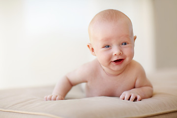 Image showing Newborn, baby or portrait on sofa for healthy childhood development, growth or learning. Infant, smile or face on stomach or curious interest or search environment, safety or discovery time in lounge