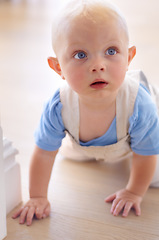 Image showing Baby, face and toddler in home on floor learning to crawl with hands for child development. Relax, cute kid or healthy young boy on ground for motor skills, growth or balance in house living room