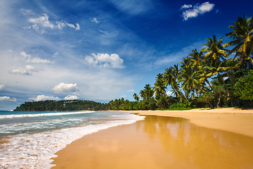 Image showing Idyllic beach. Sri Lanka