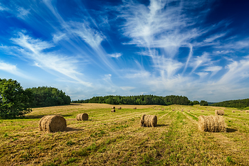 Image showing Summer Landscape with Hay Bales on Field