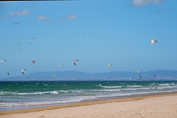 Image showing Kiteboarding kitesurfing kiteboarder kitesurfer kites on the ocean beach