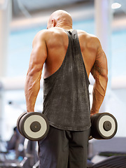 Image showing Arm press, man back and dumbbell for fitness at gym with bodybuilder, cardio and muscle at health club. Wellness, athlete and exercise with weight and strain from bodybuilding, sport and workout
