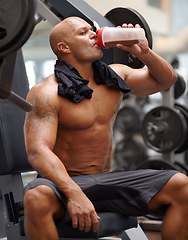 Image showing Man in gym, bodybuilder and drinking shake for fitness, training exercise and strong body with protein. Workout, health and bodybuilding, wellness with healthy beverage for hydration and power