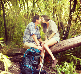 Image showing Couple, love and kiss in forest for hiking, adventure or memory with romance and affection outdoor. People, man and woman on tree kissing in woods or nature for vacation, travel or holiday with care