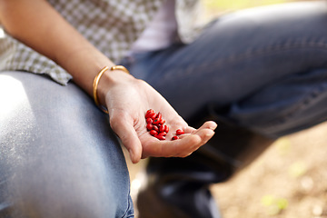 Image showing Woman, hand and seeds outdoor for gardening planting, sustainability or growth vegetable. Female person, arm and farming for eco legumes or green agriculture compost dirt, soil for environment hope