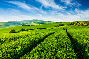 Image showing Rolling summer landscape