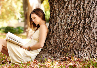 Image showing Woman, book and reading outdoors for fun, peace and calm in nature for travel adventure in New York. Happy female person, freedom and break by tree, literature and fiction in park, story or novel