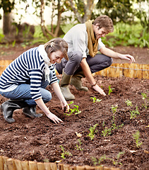 Image showing Happy people, man and woman for planting seeds for growth, organic and vegetable garden for agriculture. Friends, smile and laugh at funny joke for farming with hands in soil, fresh and eco friendly