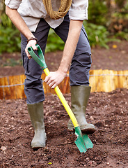 Image showing Hands, shovel and man digging the soil, dirt or ground in garden and backyard. Gardening, agriculture or person with spade to dig on a farm, environment and start of planting in spring or nature