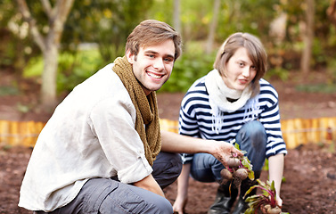 Image showing Plant, vegetable and portrait of couple gardening with together with harvest in backyard. Farming, growth and people working with beetroot and growing plants for sustainable, organic or vegan food