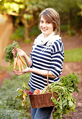 Image showing Portrait, woman and vegetable for harvest with basket for fresh, natural or organic produce for vegan diet. Worker, farmer and smile for carrot, tomato or garden for growth in sustainable development