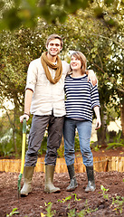 Image showing Plant, vegetables and portrait of happy couple gardening together in backyard or farm. Farming, growth and people working in soil or dirt and growing plants for sustainable, organic or vegan food