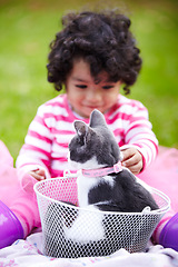 Image showing Nature, girl and kitten in a basket in a garden on the grass on a summer weekend together. Happy, sunshine and child or kid sitting and having fun with cat or feline animal pet on lawn in a field.