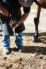 Image showing Farrier man, horse foot and outdoor with hammer for help, race and speed with tools, care and shoes. Vet person, equine doctor and healthcare for animal hooves, pet and safety at ranch in countryside