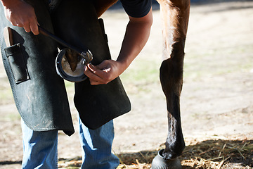 Image showing Farrier man, horse foot and farm with hammer for help, race and speed with tools, care and support. Vet team, equine doctor and healthcare for animal hooves, pet and safety at ranch in countryside