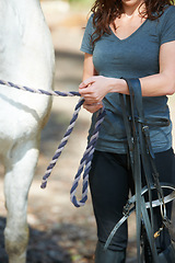 Image showing Hands, horse riding or woman in countryside outdoor with rider or jockey for recreation or wellness. Exercise, bridle or closeup of athlete with a healthy animal for training or support on farm