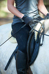 Image showing Saddle, horse riding or woman in countryside outdoor with rider or jockey for recreation or wellness. Exercise, hands or closeup of athlete with a healthy pet animal for training or support on farm