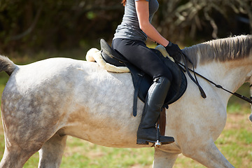 Image showing Closeup, horse riding or woman in countryside outdoor with rider or jockey for recreation or wellness. Freedom, saddle or athlete with a healthy pet animal for training, exercise or support on farm