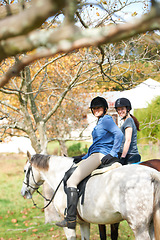 Image showing Portrait, friends or women horse riding in nature or countryside with rider or jockey for recreation. Happy, teamwork or equestrian with smile to start training, exercise or workout in ranch or farm