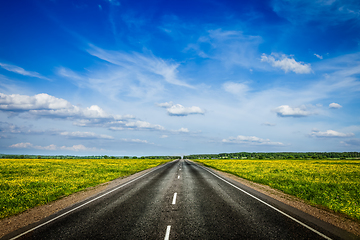 Image showing Road in blooming spring meadow