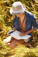 Image showing Nature field, book and woman reading diary entry about spring wellness, stress relief or creative story in countryside. Notebook, planner and person check journal notes, information or. travel letter