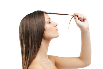Image showing Woman, hand and hair for split end in studio for damage in mock up on white background in Russia. Female model, hold and checking with worry on face for texture, healthy growth or care in side view