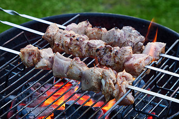 Image showing grilled marinated pork meat skewers