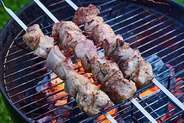 Image showing grilled marinated pork meat skewers