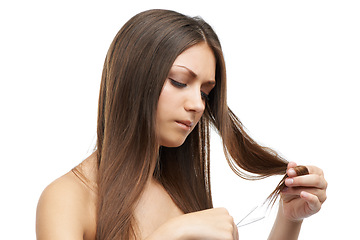 Image showing Woman, alone and scissor for hair in studio with mock up for treatment on white background in Russia. Female model, serious or concentration on face for damage, split ends or care for growth in space