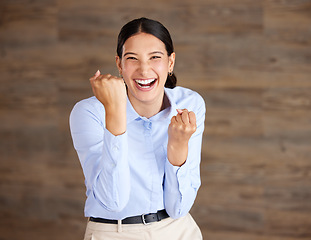 Image showing I scored big time. Portrait of a young businesswoman cheering in an office.