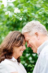 Image showing Senior couple, forehead and love in park, care and happy for commitment in marriage. England, man or woman in retirement in nature, connect and bond together in support wellness on relax vacation