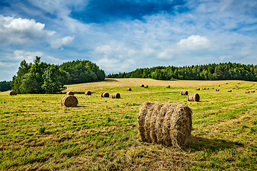 Image showing Hay bales on field